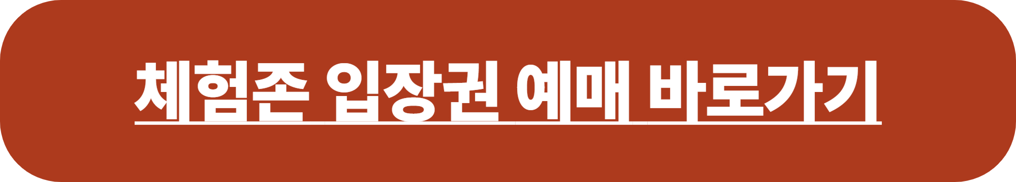 보령머드축제