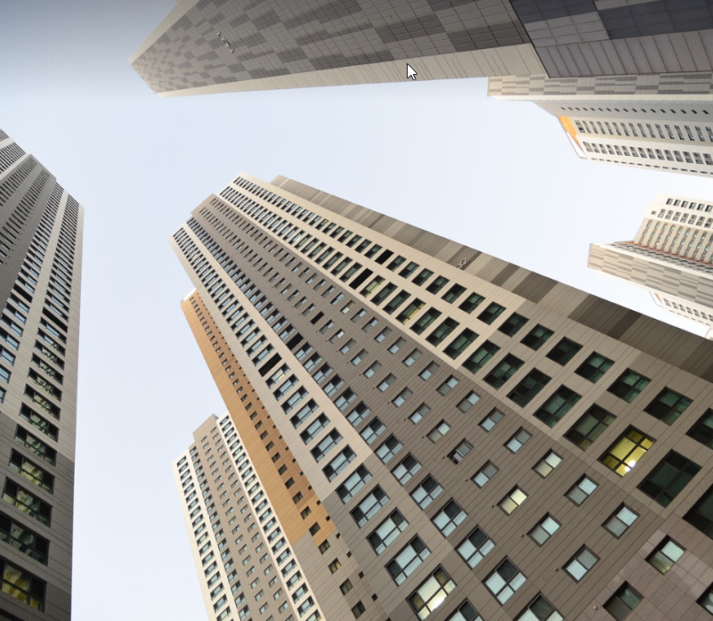 전세 vs 월세 장단점 완벽 분석