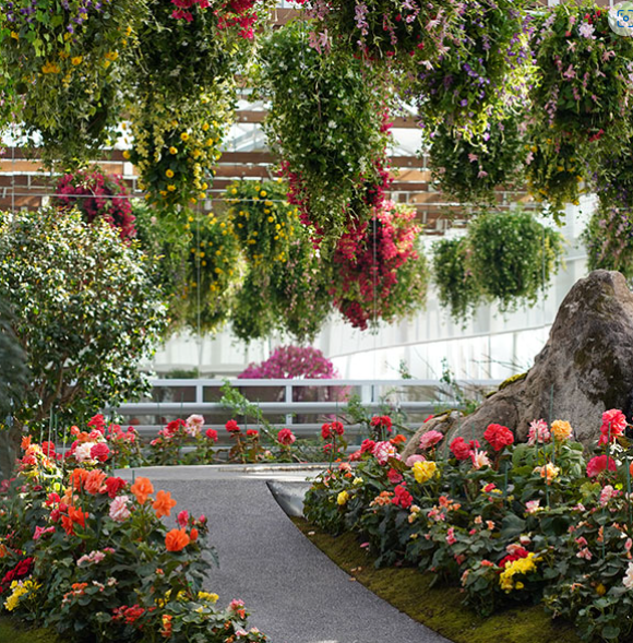 가평 베고니아새정원