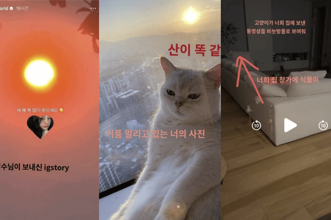 샤이니 태민 노제 열애설 데이트 영상