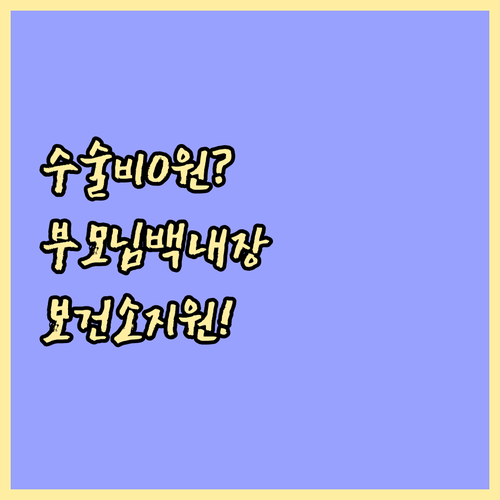 부모님 백내장 수술비 보건소 지원 자..