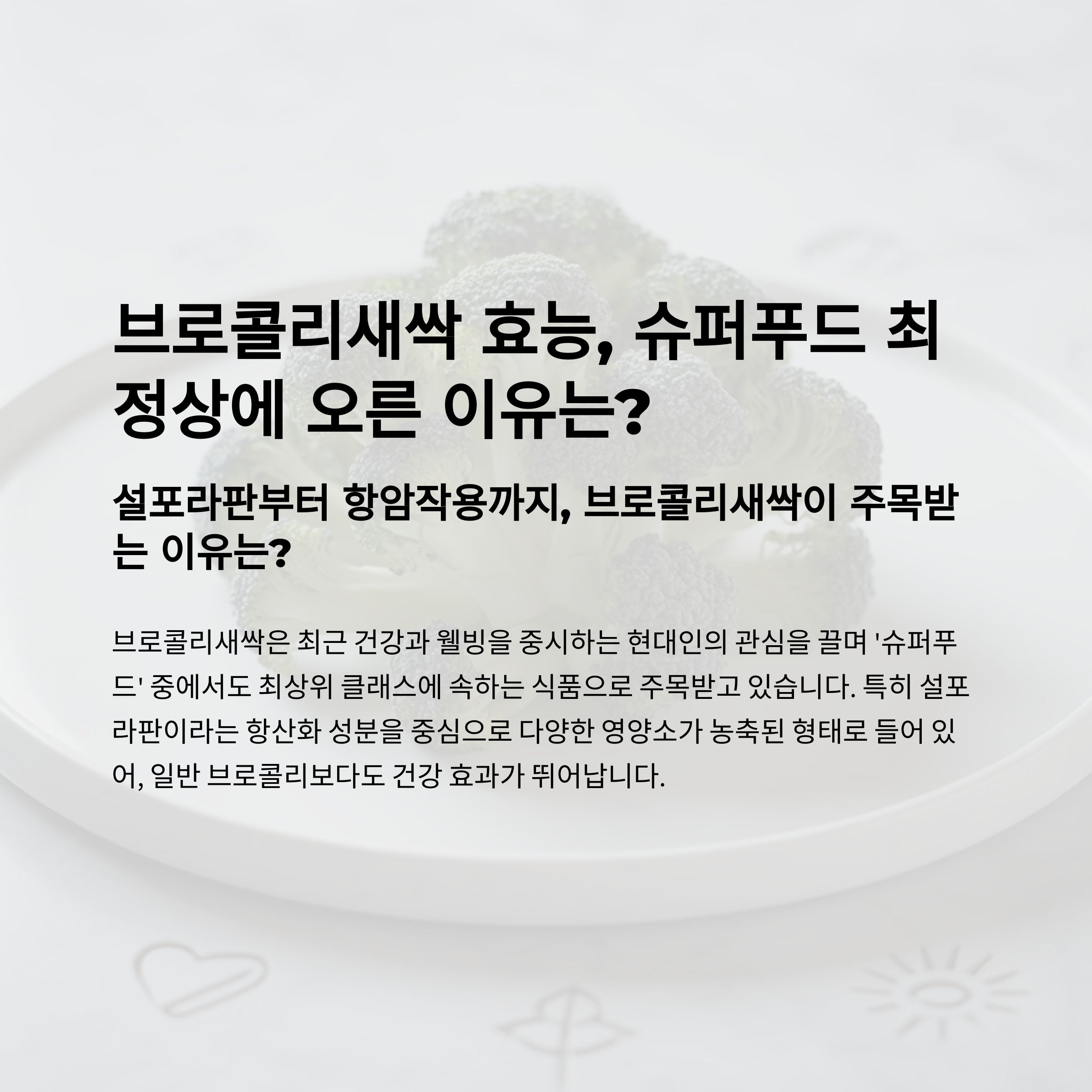 브로콜리새싹
