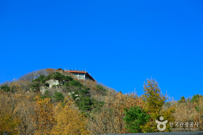 가을 여행지 단풍 추천장소 _ 속리산, 팔공산, 가야산, 지리산, 한라산 국립공원
