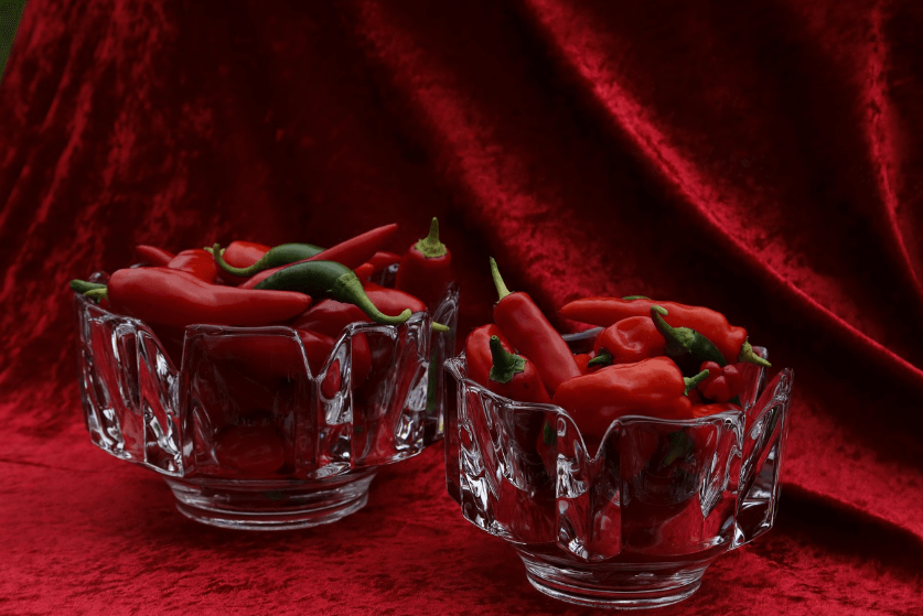 대추고추장 관련 이미지