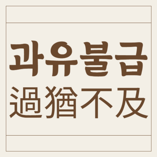 과유불급