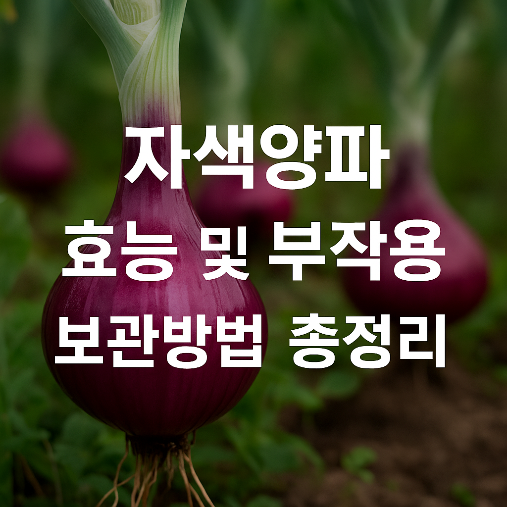 자색양파 효능 및 부작용, 보관방법 총정리 썸네일