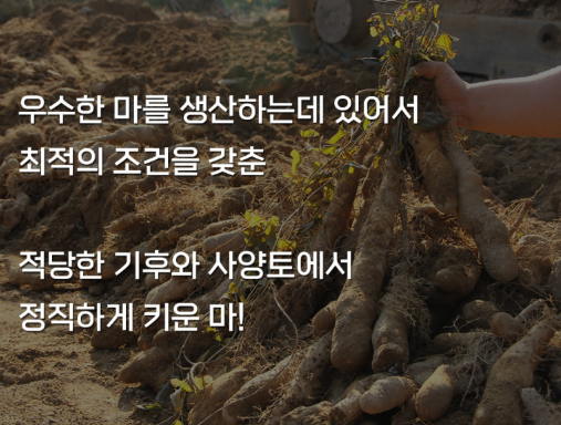 안동마데이