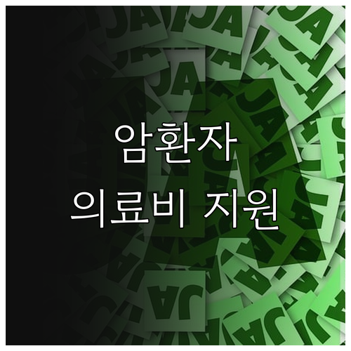 2025년 암환자 의료비 지원: 경제..