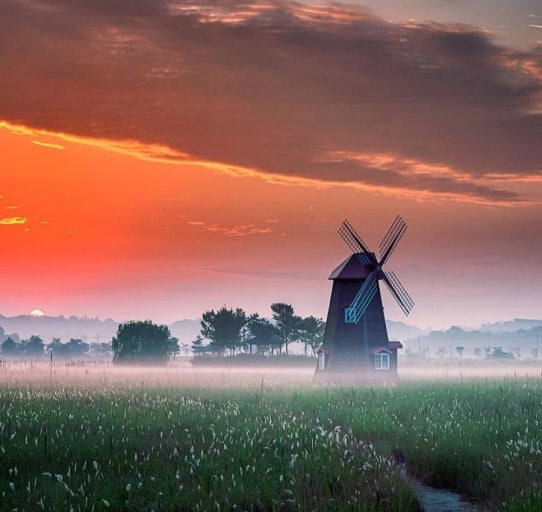 인천 소래습지생태공원 봄 나들이