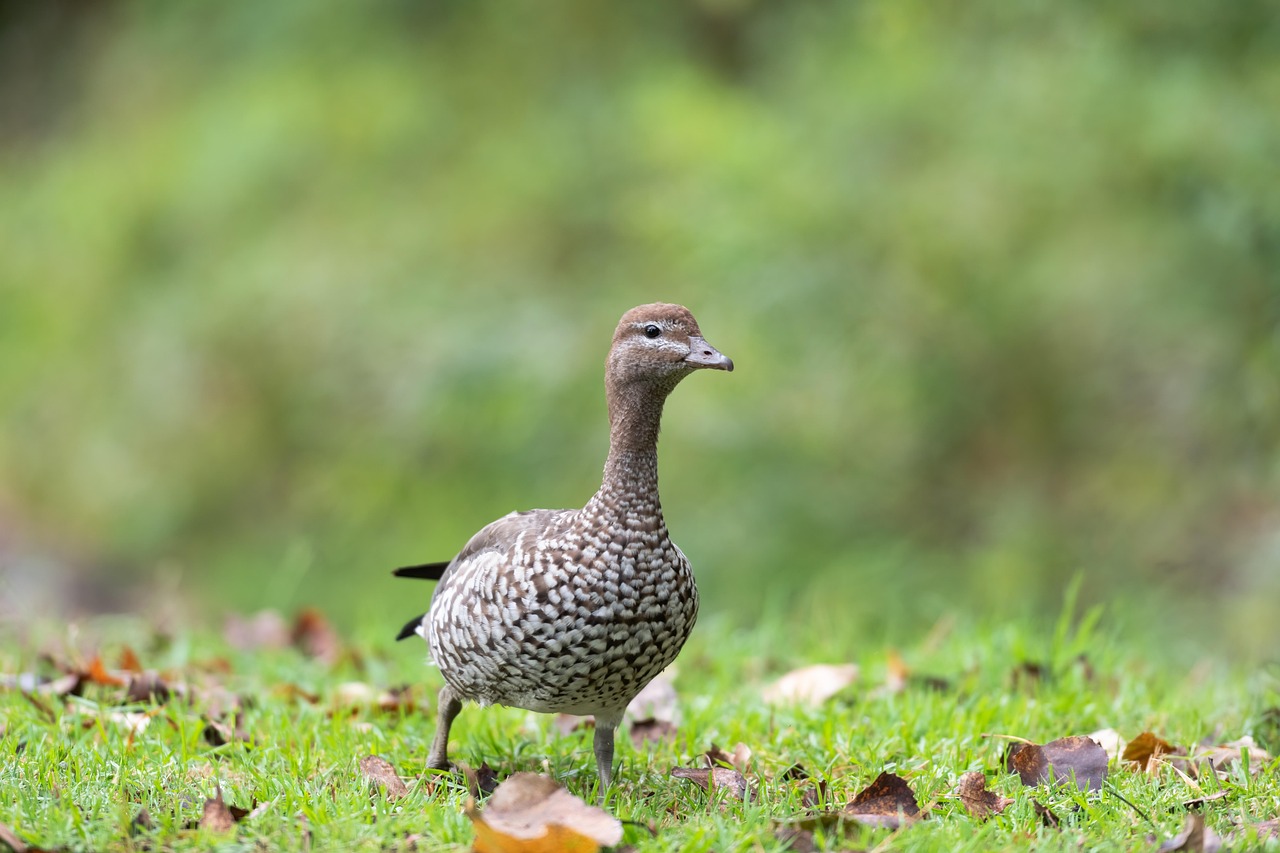 6.27 부동산 대책 대출규제