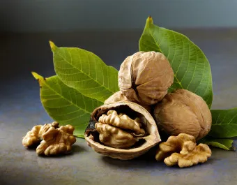 호두 효능 섭취량 칼로리_17