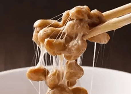 나토필 나토키나제 효능