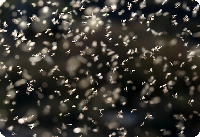 ROI 개념 설명
![