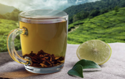 작두콩차 효능 부작용 끓이는 방법 먹는방법 등 총정리(최신 Ver)