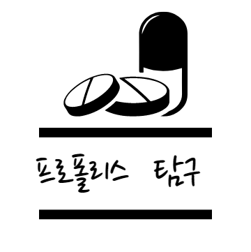 프로폴리스 효능 탐구