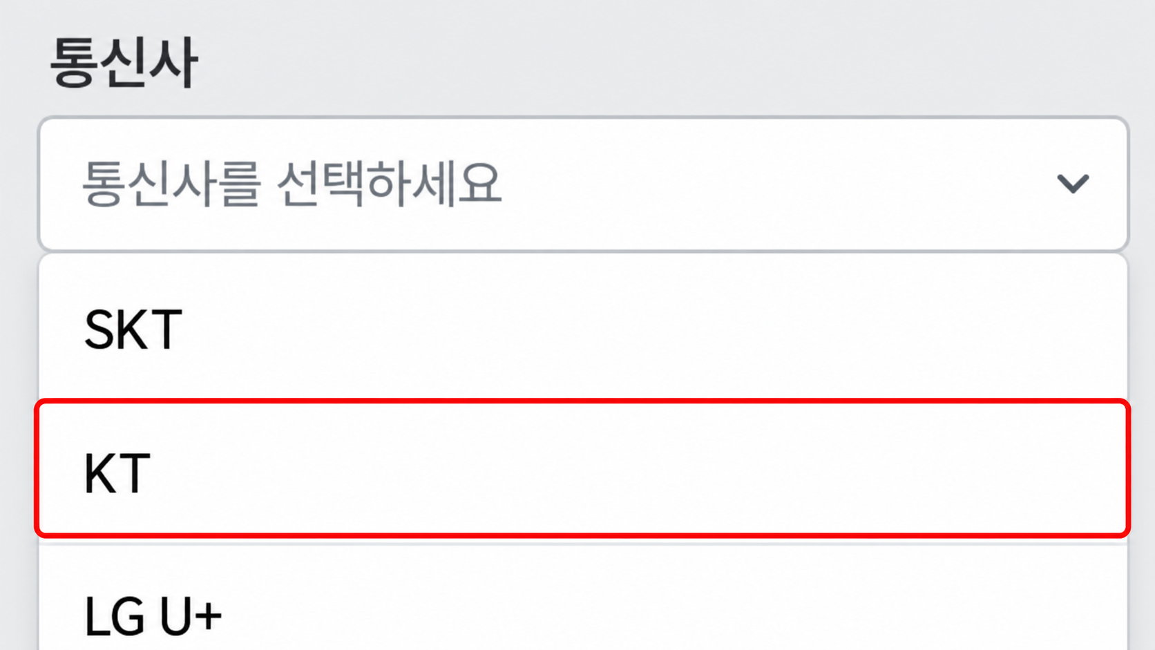 통신사 선택 목록