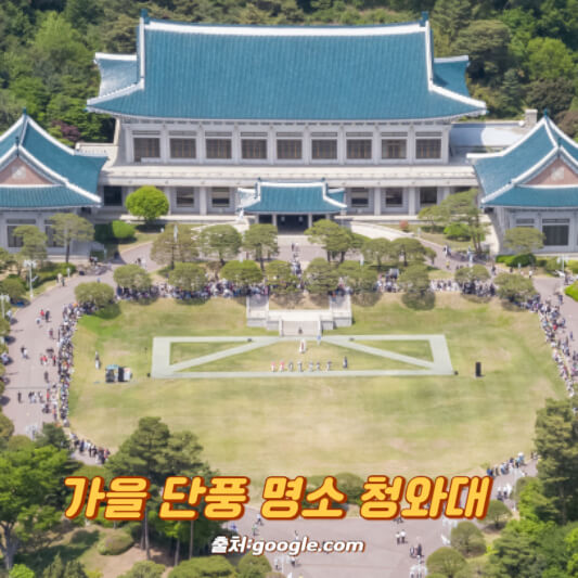 가을 단풍 명소 청와대