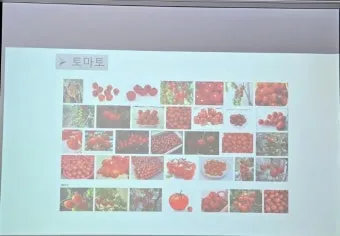 파종 도구 선택 파종기 호미 삽 흙손 사용 팁_25