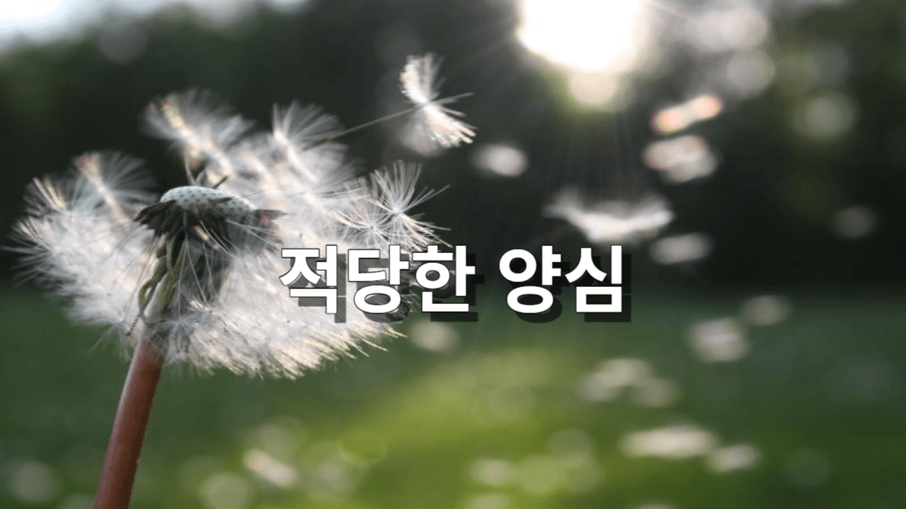 적당한 양심
