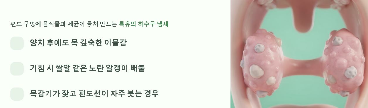 입냄새 제거방법 원인별 관리 지표