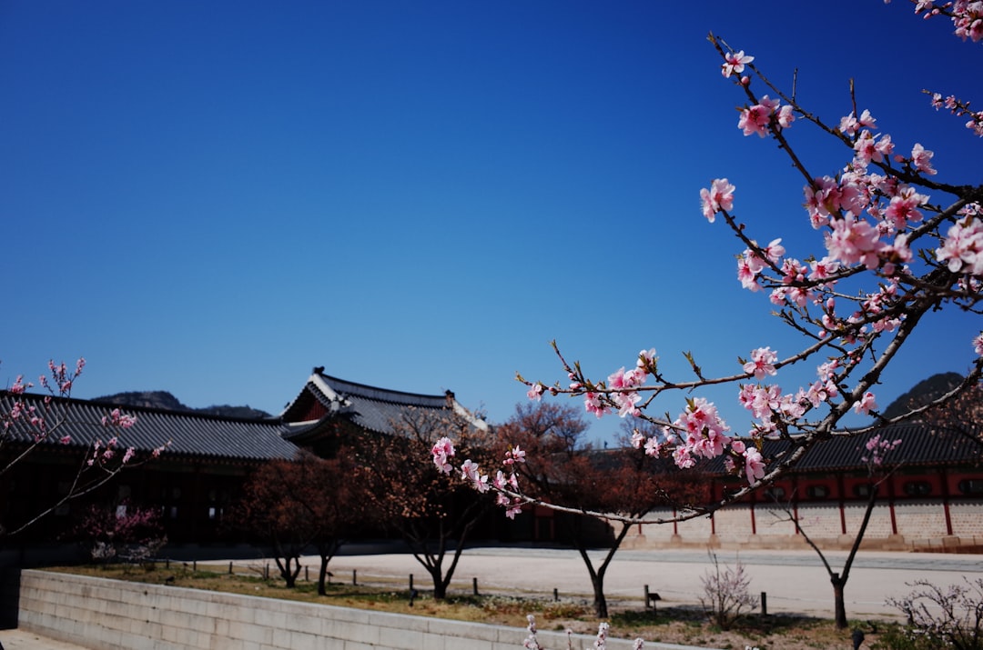 Gyeongbokgung