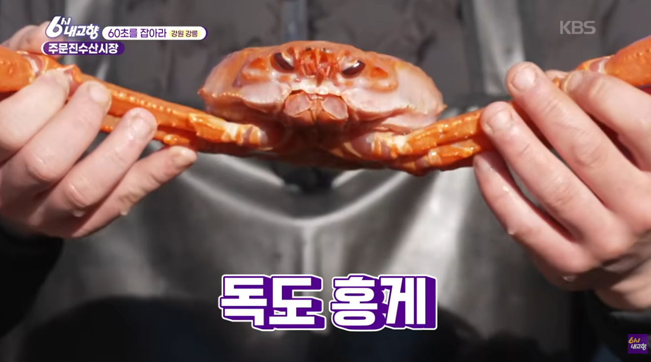 6시 내고향 독도홍게