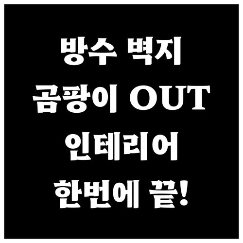 방수 벽지, 곰팡이 OUT! 인테리어