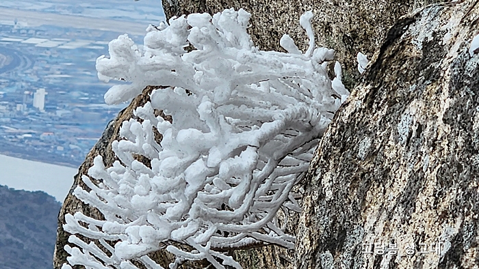 금정산 고당봉 상고데