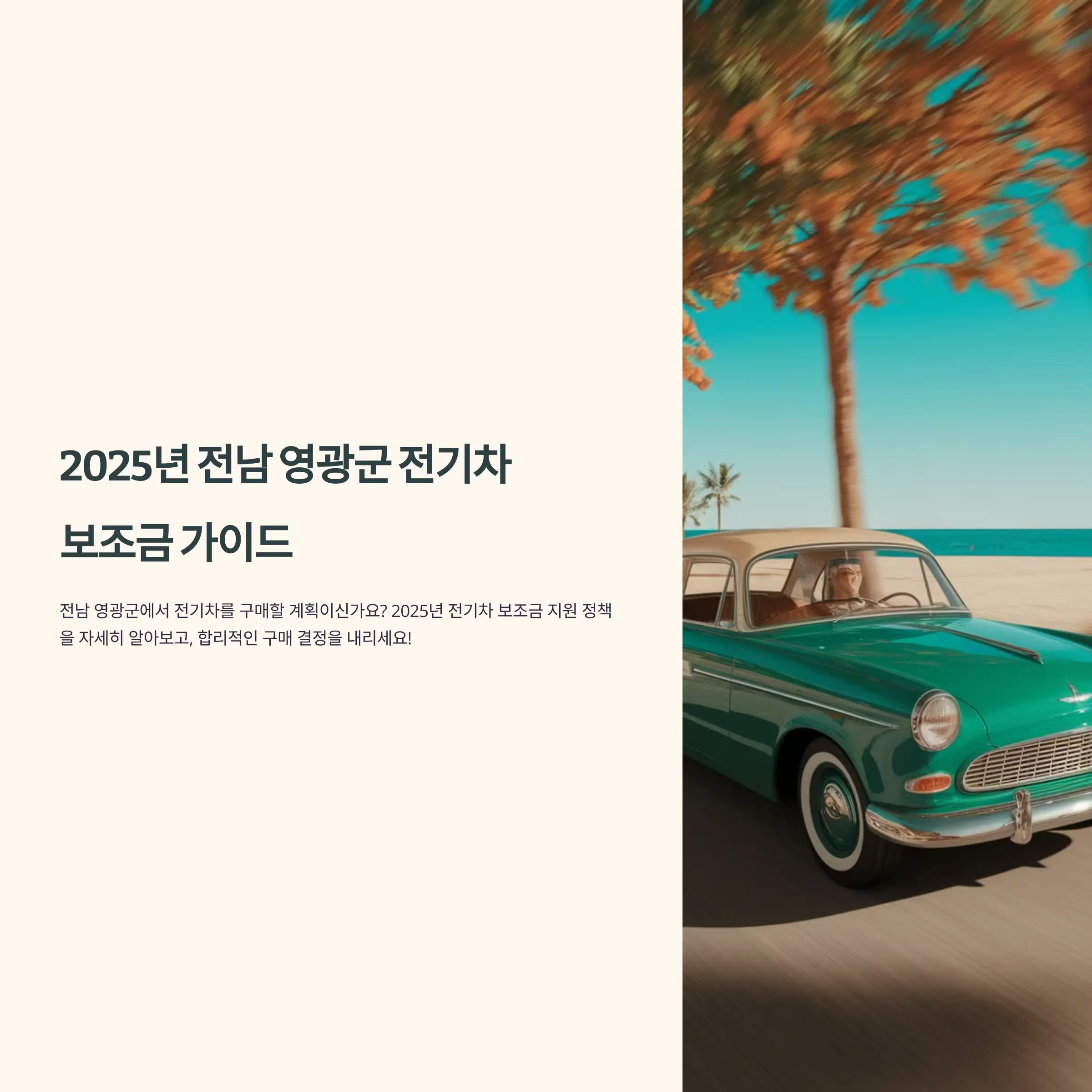 2025년 전남 영광군 전기차 보조금