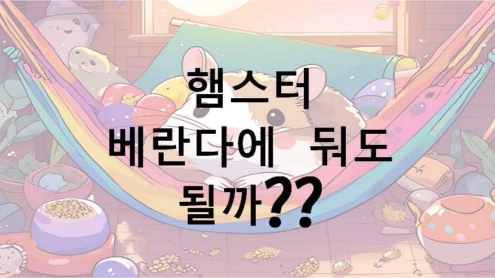 햄스터, 베란다에서 키워도 될까??