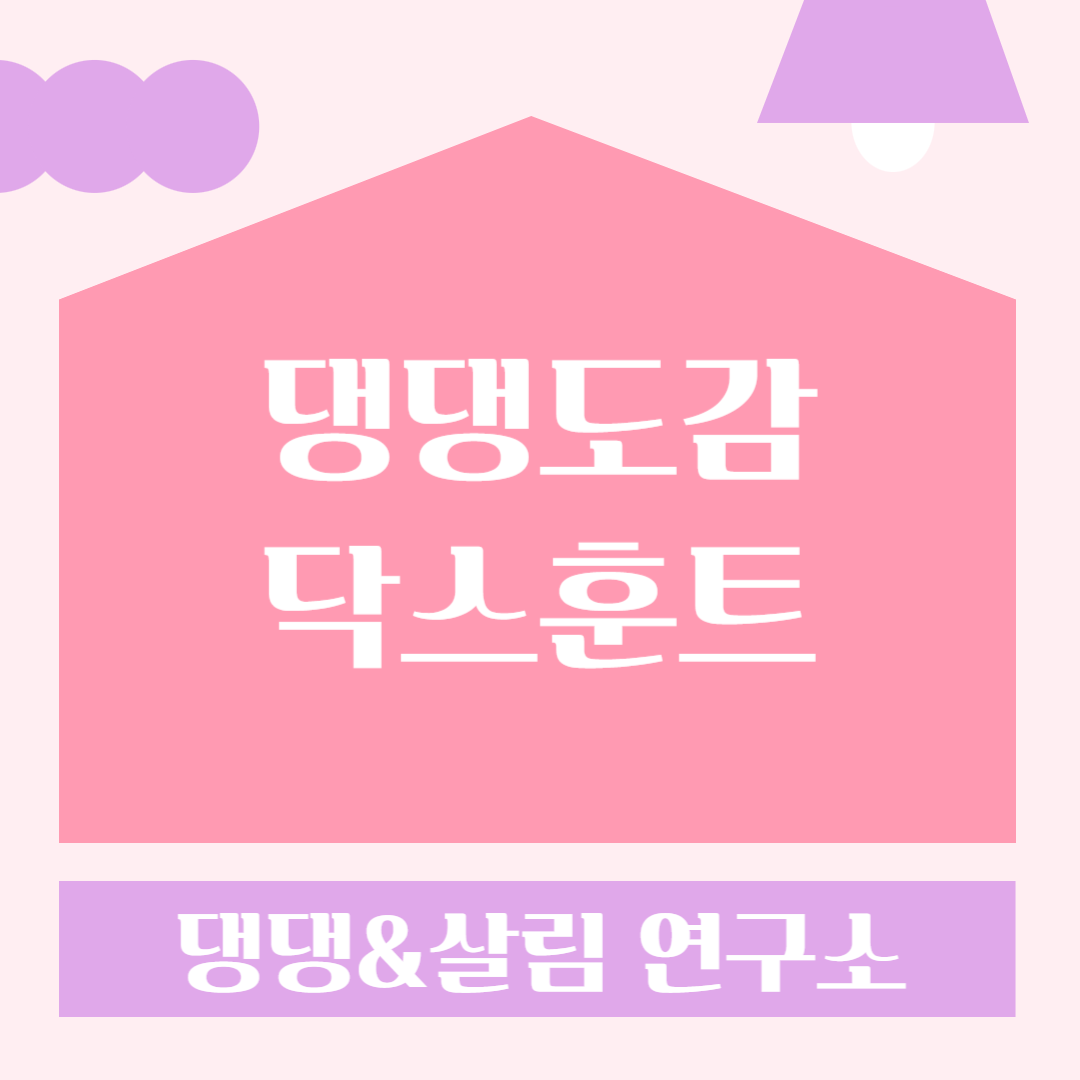 닥스훈트