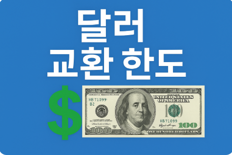 달러 교환 한도