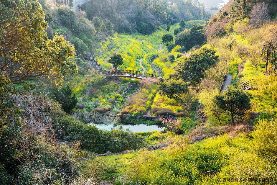 2025년봄꽃개화시기