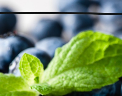 블루베리 효능 부작용