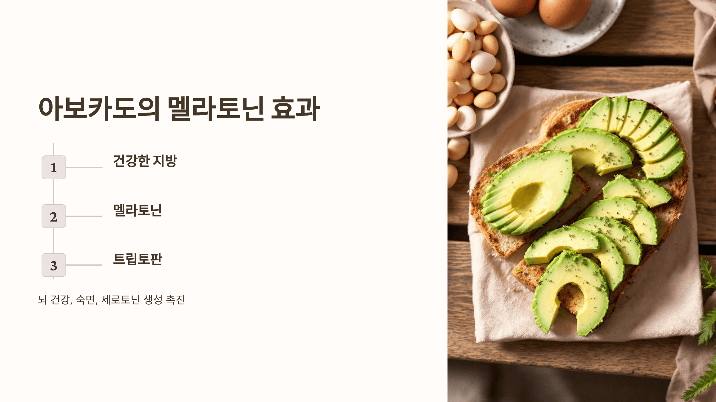 멜라토닌과 관련된 사진입니다.