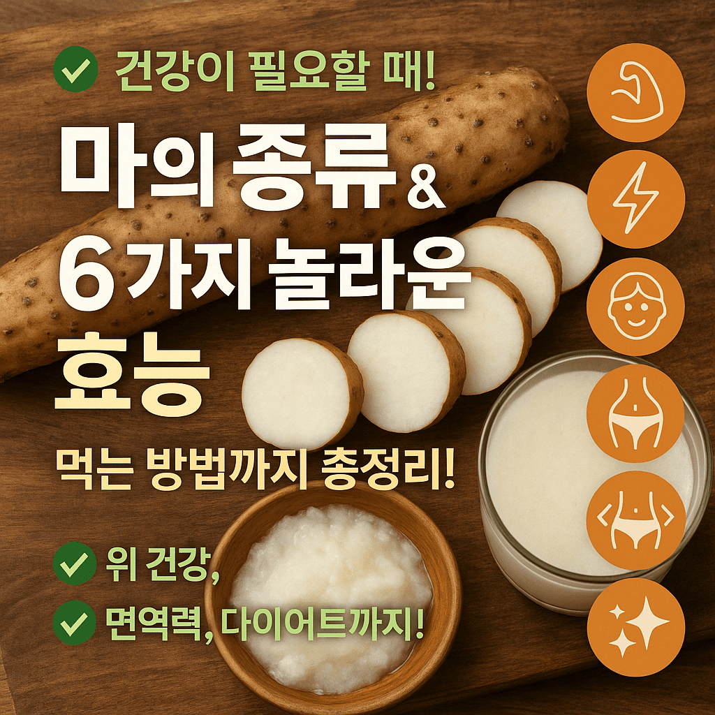 마의 종류 및 효능