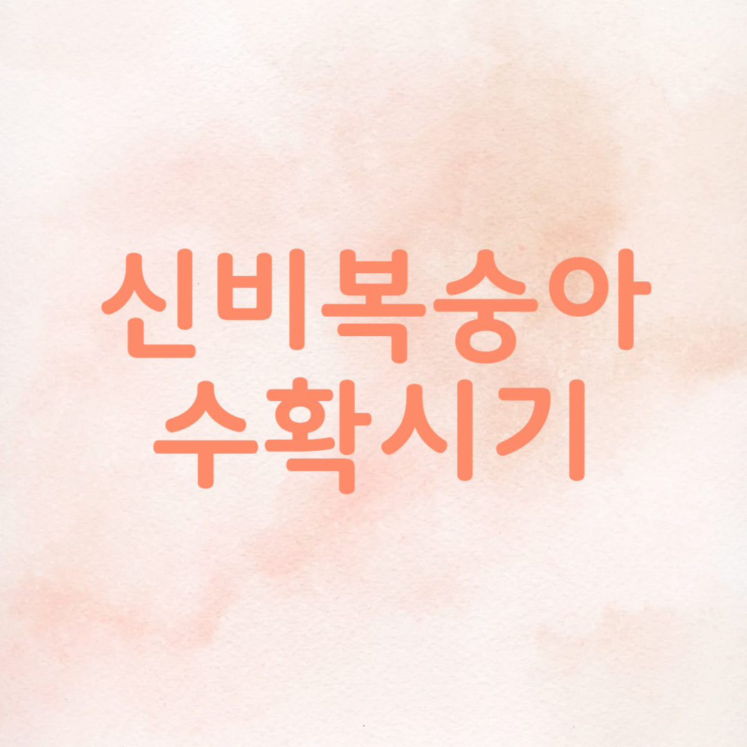 신비복숭아 시기 구매 가격 지역