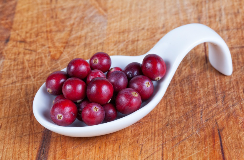 크랜베리_보관법