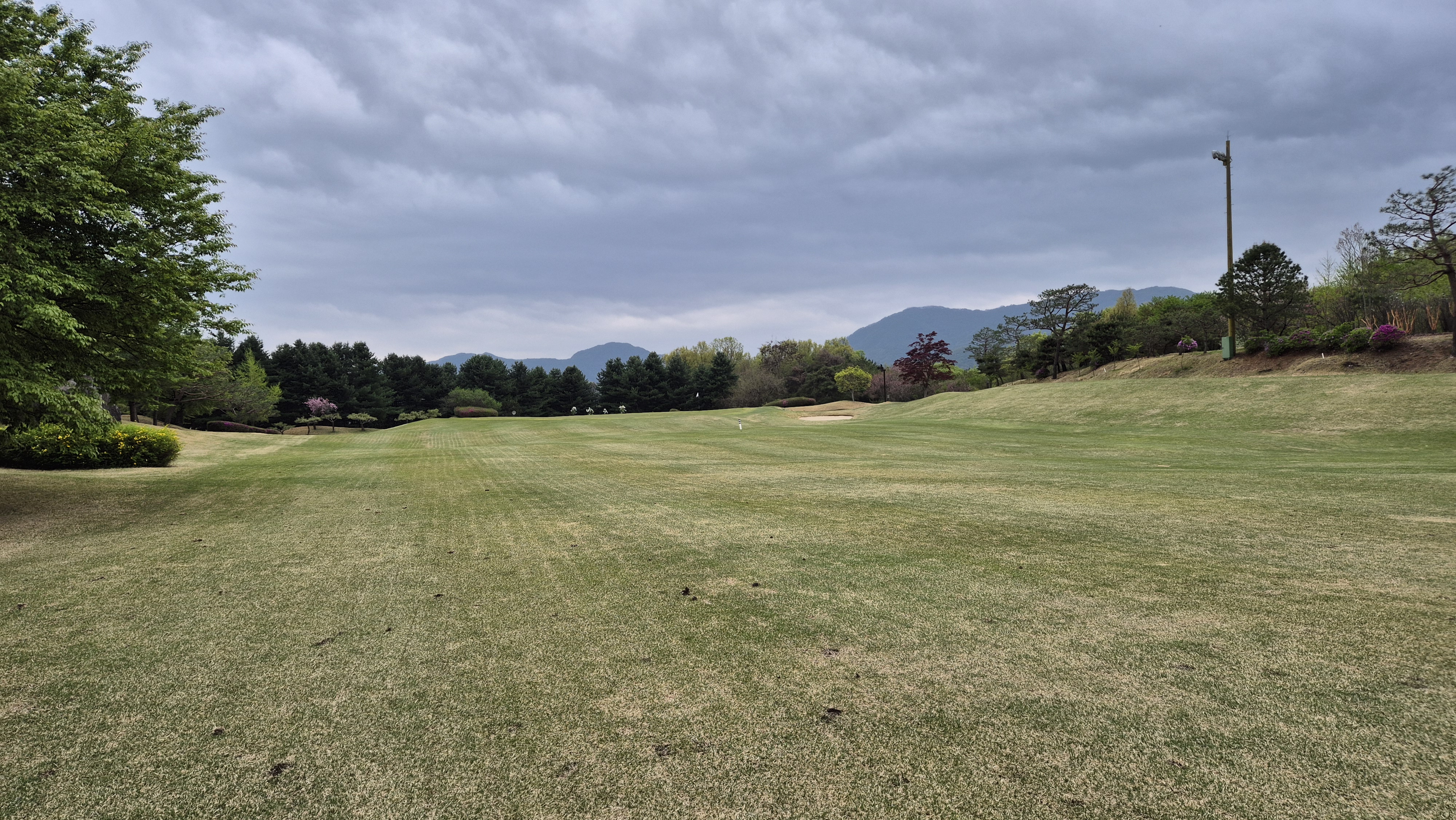 시그너스cc 코튼-라미 코스 사진 및 공략 정보