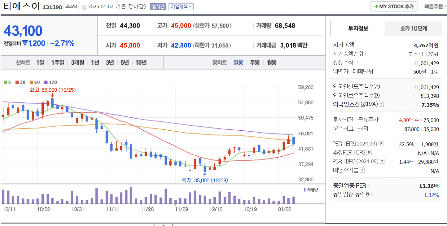 반도체 장비 관련주 대장주 티에스이 일봉 차트