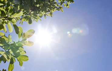 비타민d 부족증상 하루 권장량 