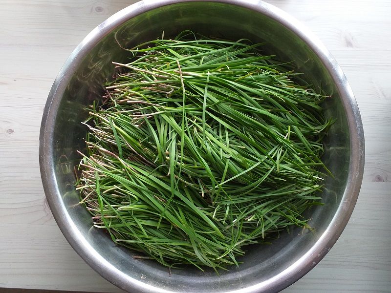 부추김치 담그는 법