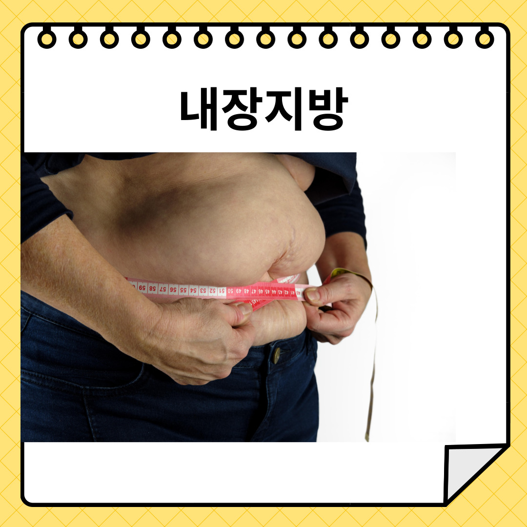 내장지방
