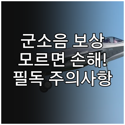 실거주자 대상 군소음 피해 보상금 신..