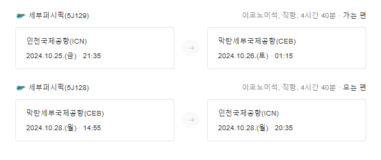 세부 직장인 비행기 일정
