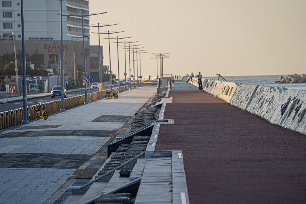 제주 탑동공원 산책