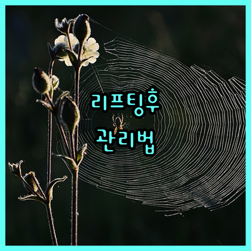 리프팅 시술 후 관리법: 붓기, 세안
