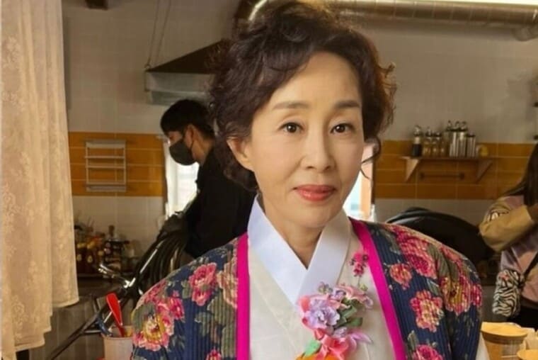 배우-이경진
