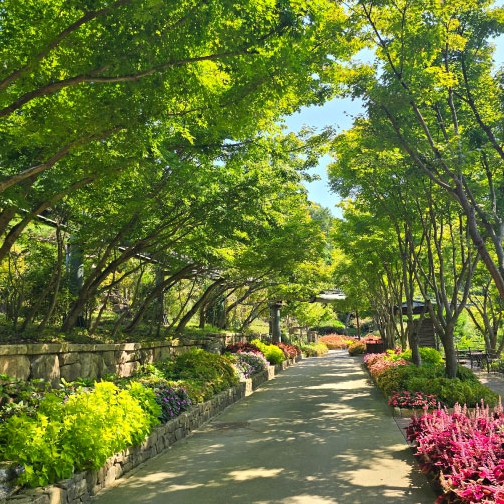 화담숲 온라인 예매하기 (할인 정보, 취소 환불)