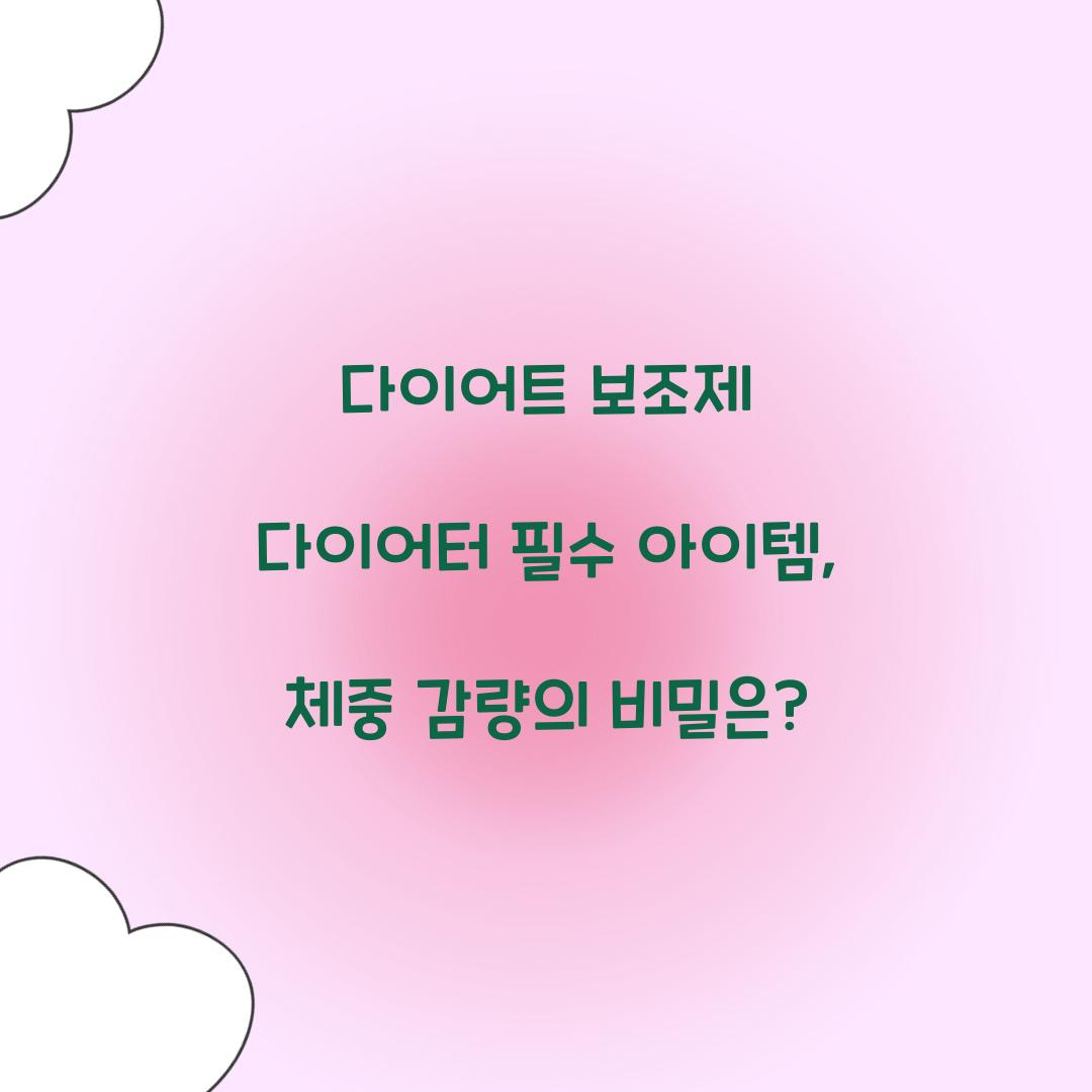 다이어트 보조제 다이어터 필수 아이템